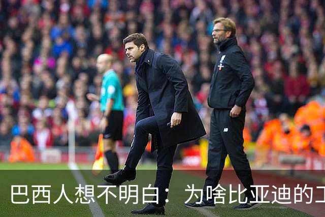 巴西人想不明白：为啥比亚迪的工厂从工地到出车只用了15个月